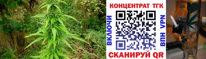 ТГК жижа  Купить закладки  Пойковский 